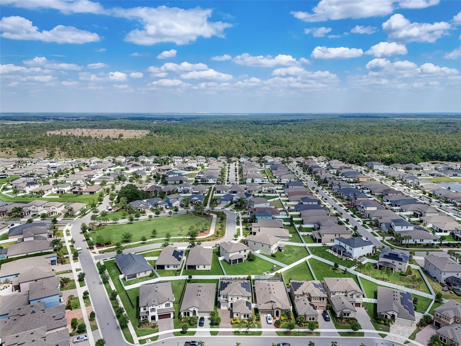 13106 Foxtail Fern Drive Riverview FL 33579 A4696207 image84