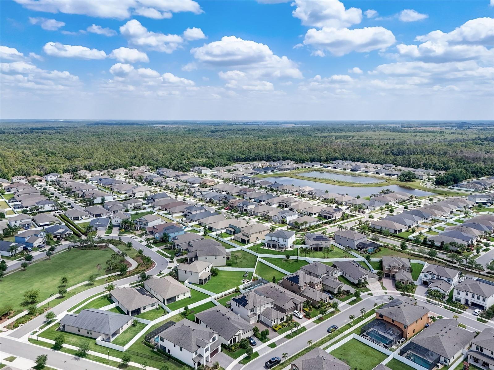 13106 Foxtail Fern Drive Riverview FL 33579 A4696207 image85