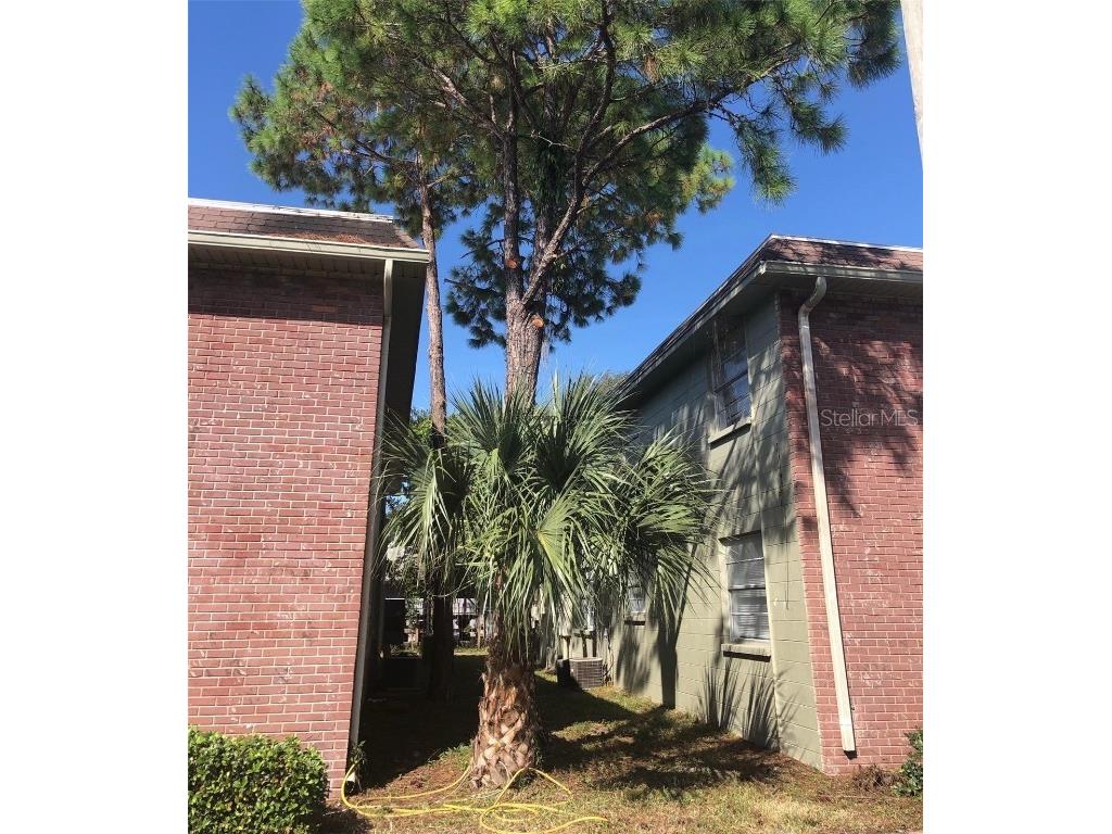 13106 Leisurewood Place #102 Tampa FL 33612 A4620794 image6