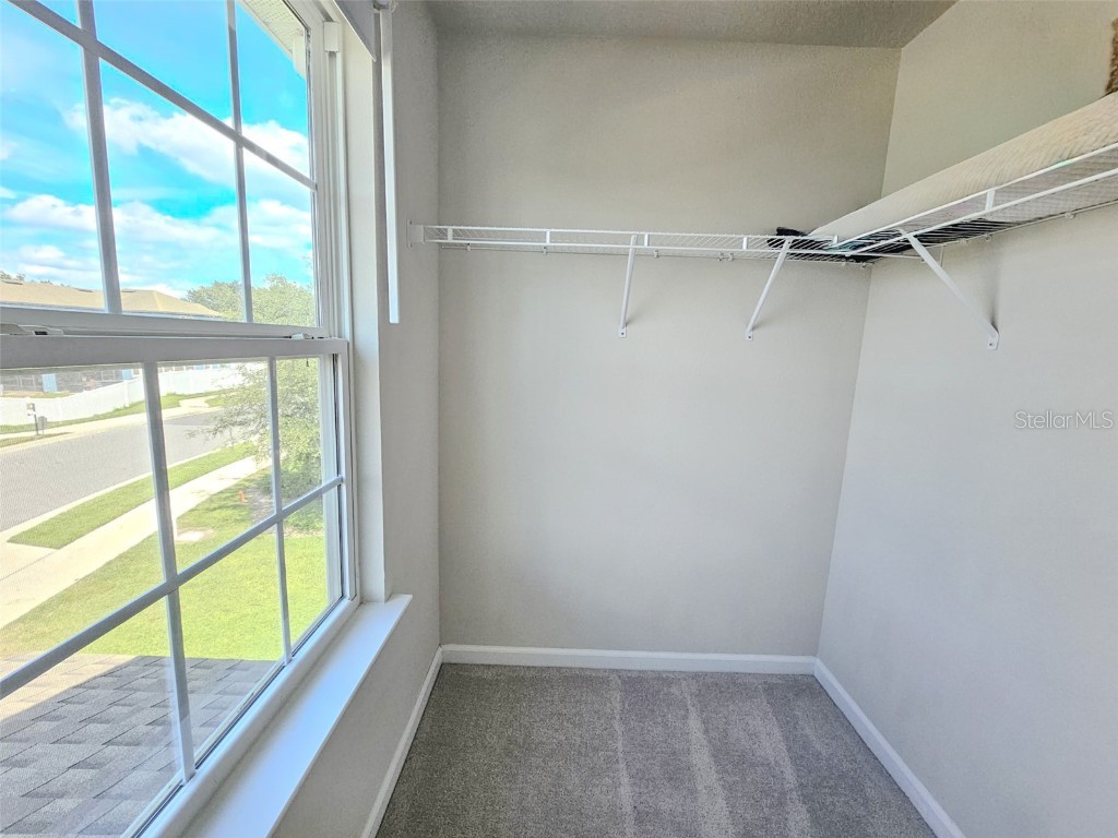 13106 Orange Isle Drive Windermere FL 34786 O6361057 image28