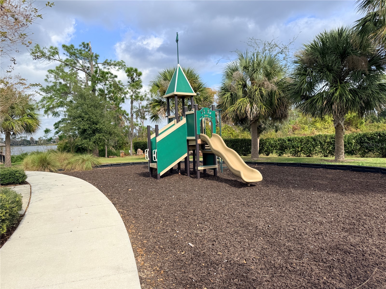 13106 Orange Isle Drive Windermere FL 34786 O6361057 image62