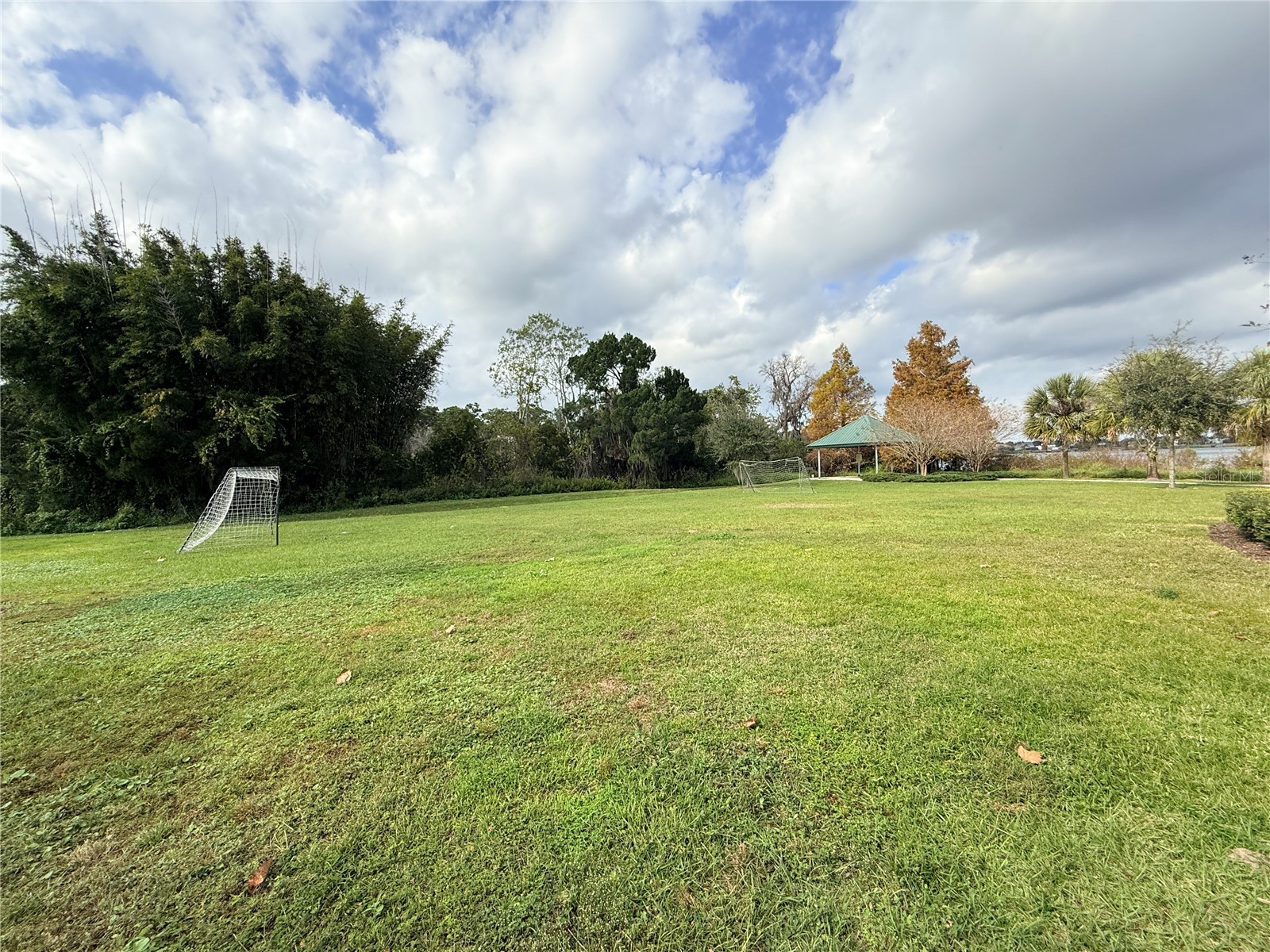 13106 Orange Isle Drive Windermere FL 34786 O6361057 image63