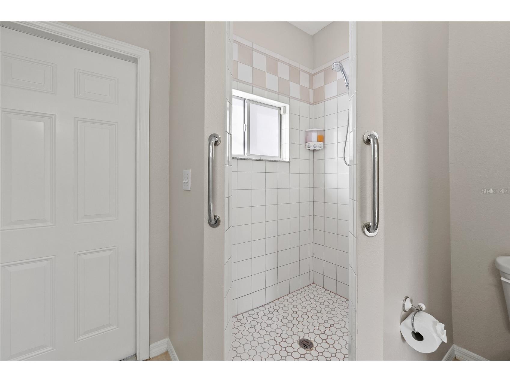 13106 Royal George Avenue Odessa FL 33556 TB8483715 image17