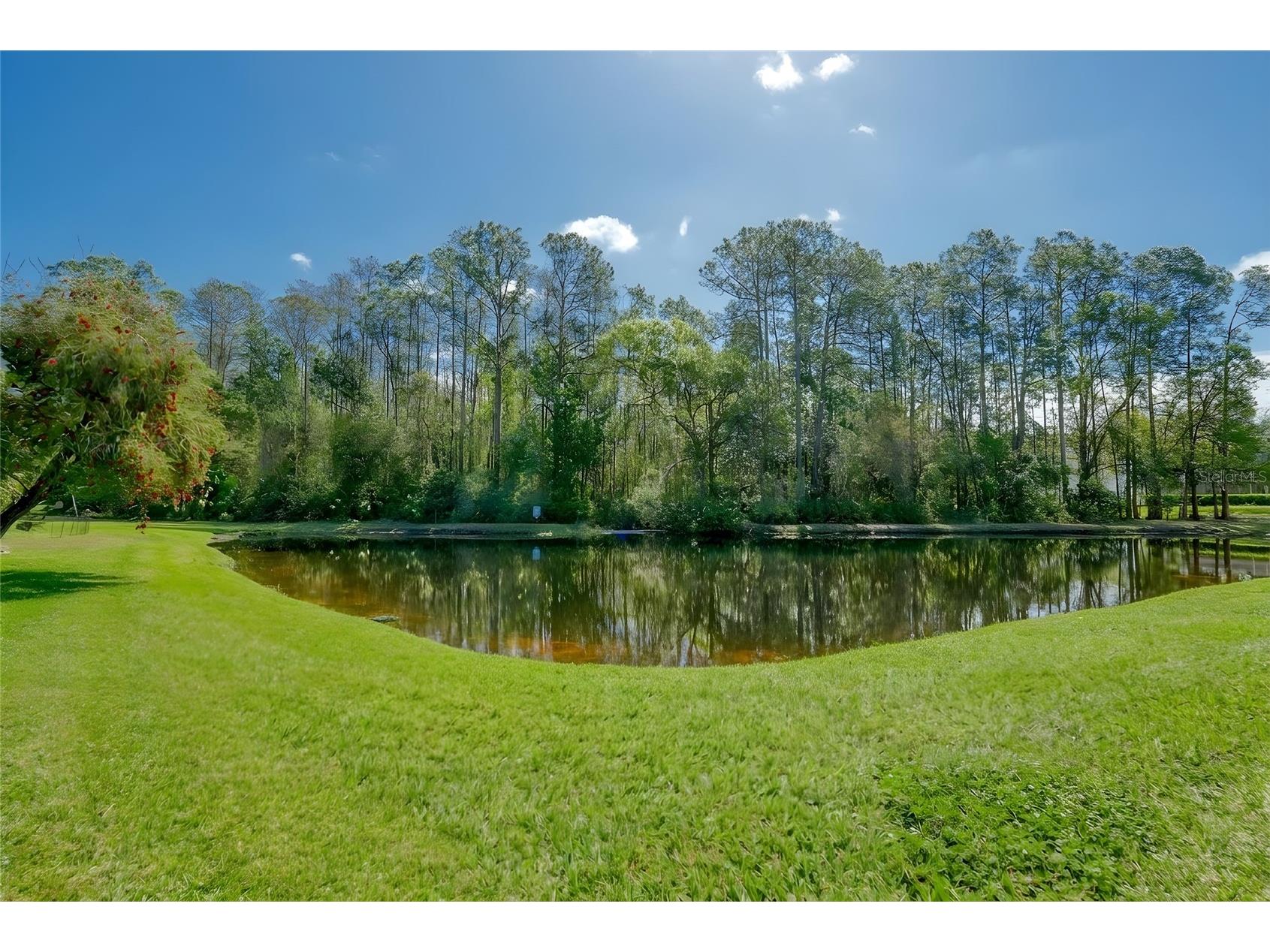 13106 Royal George Avenue Odessa FL 33556 TB8483715 image9