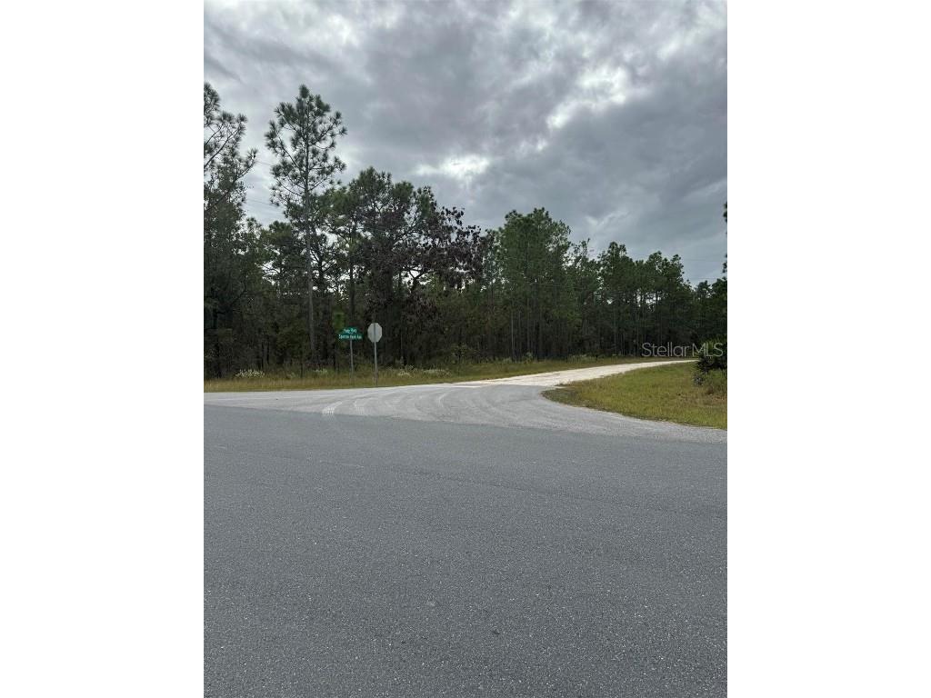 13106 Sparrow Hawk Avenue Weeki Wachee FL 34614 T3482526 image1