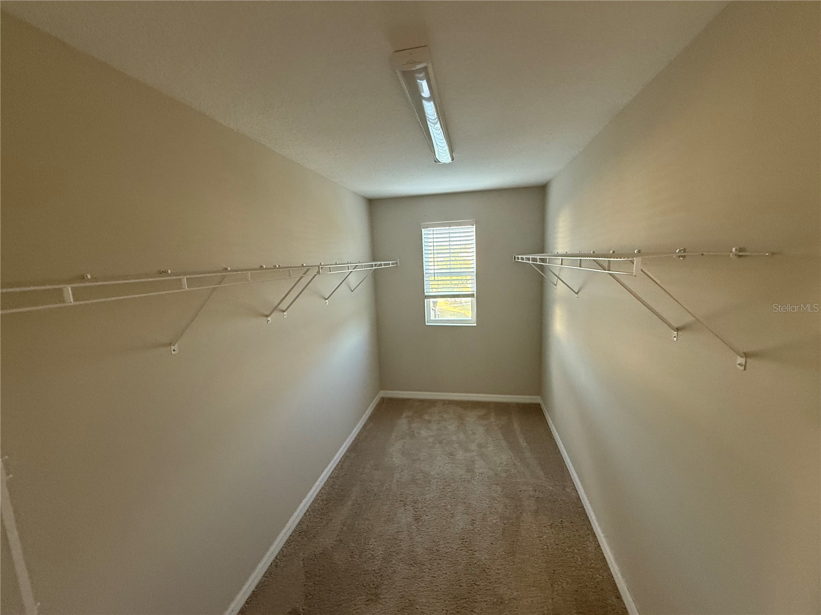 13106 Zolo Spring Circle Riverview FL 33579 TB8458744 image15