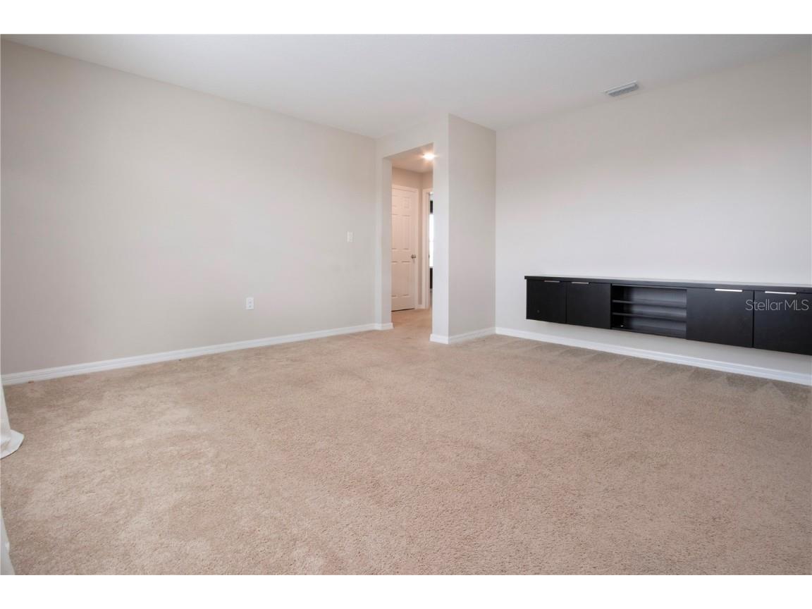 13106 Zolo Springs Circle Riverview FL 33579 TB8349684 image19