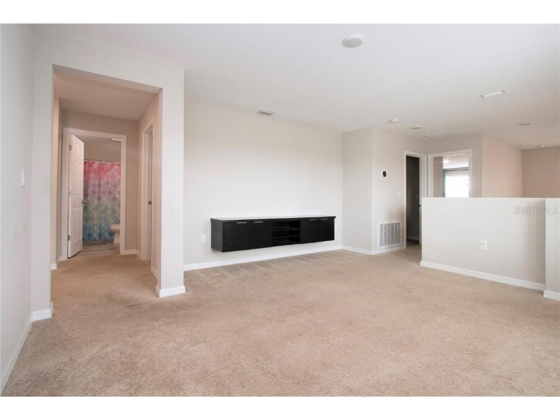 13106 Zolo Springs Circle Riverview FL 33579 TB8349684 image20