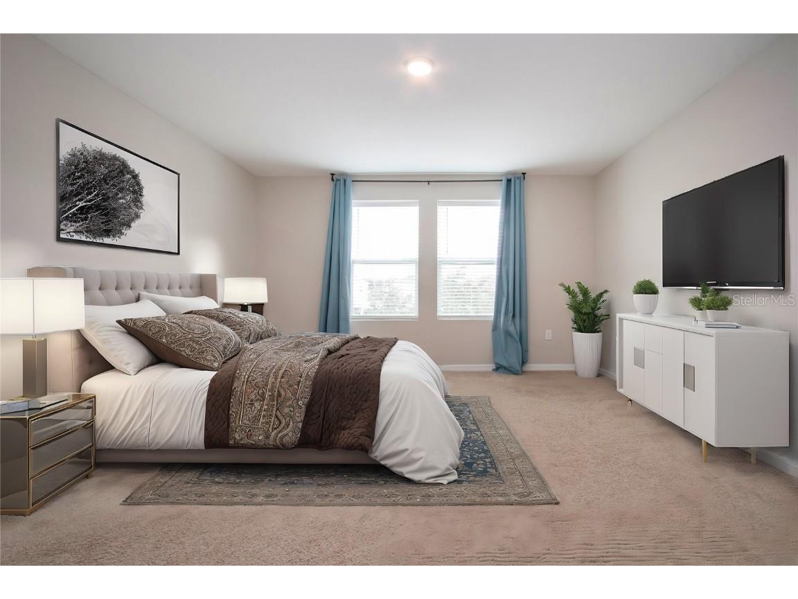 13106 Zolo Springs Circle Riverview FL 33579 TB8349684 image22