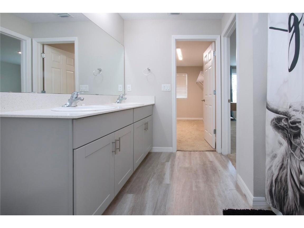 13106 Zolo Springs Circle Riverview FL 33579 TB8349684 image28