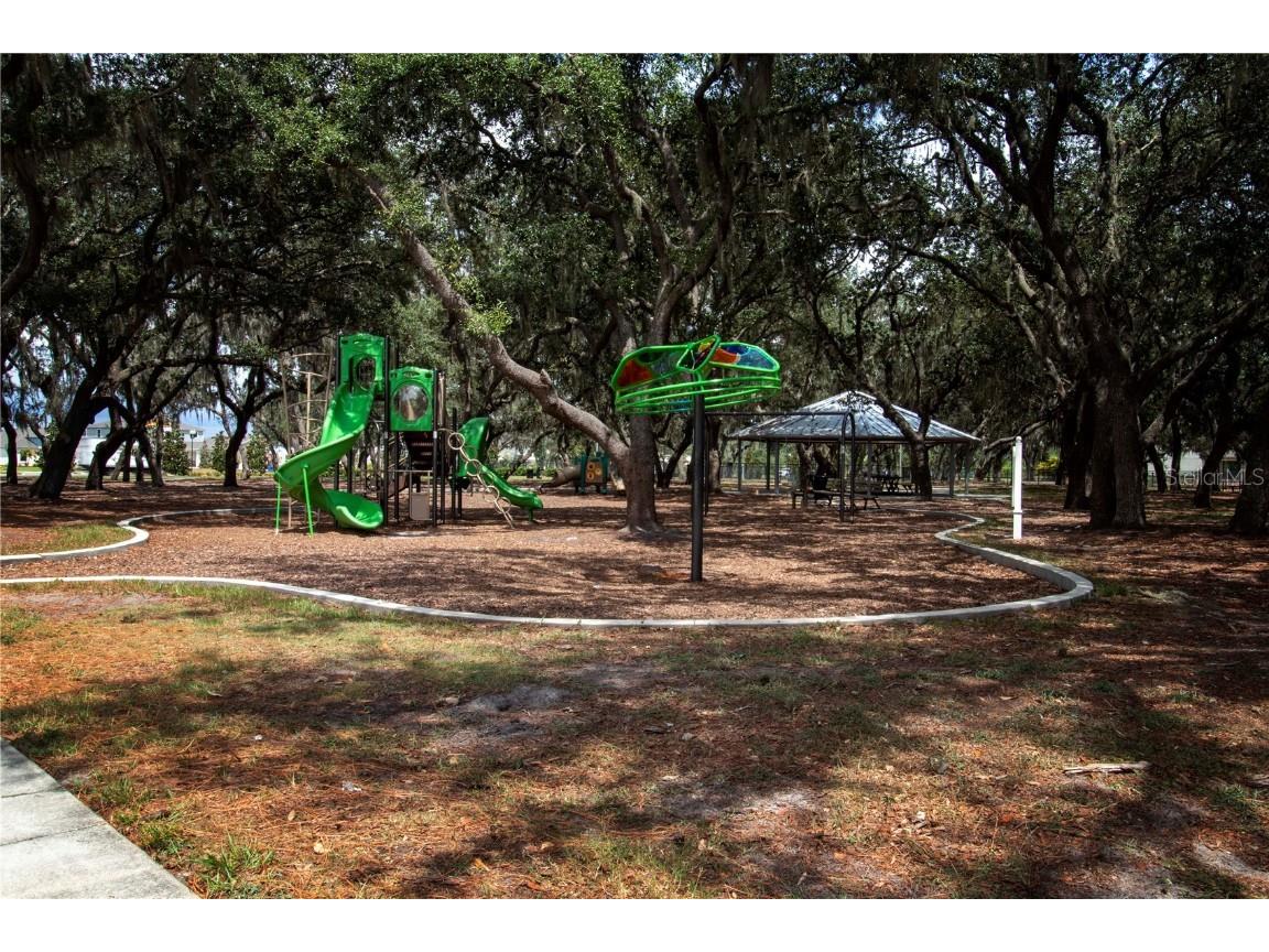 13106 Zolo Springs Circle Riverview FL 33579 TB8349684 image53