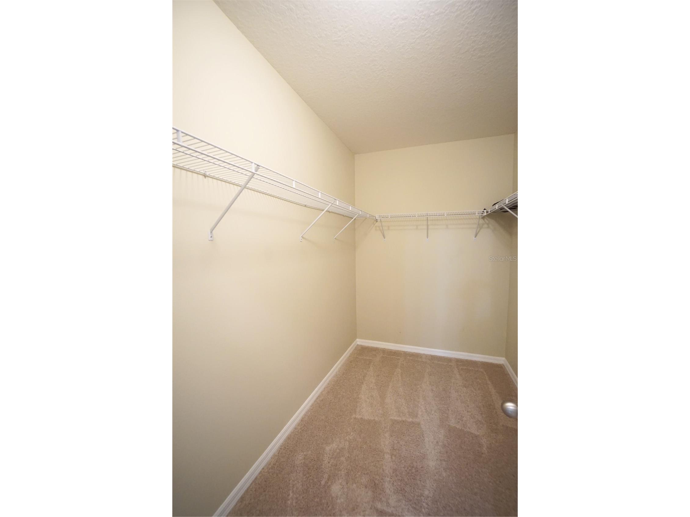 13107 Canopy Creek Drive Tampa FL 33625 TB8514754 image15