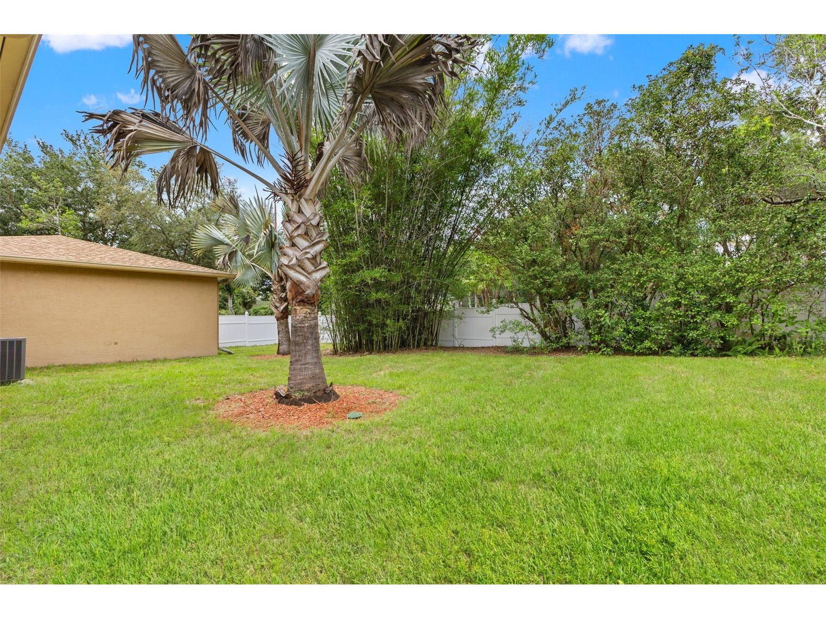 13108 Alishia Court Spring Hill FL 34609 TB8515114 image48