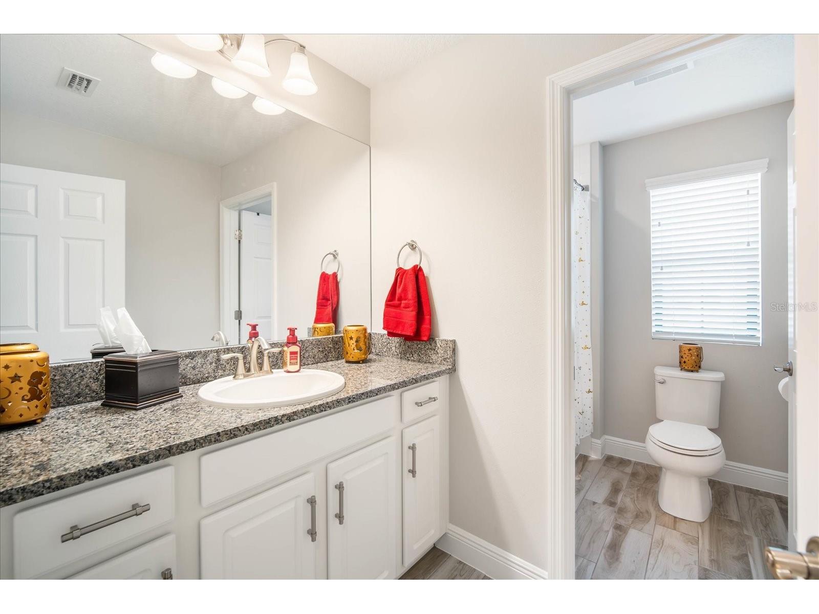 13108 Monach Isles Drive Riverview FL 33579 TB8468979 image17