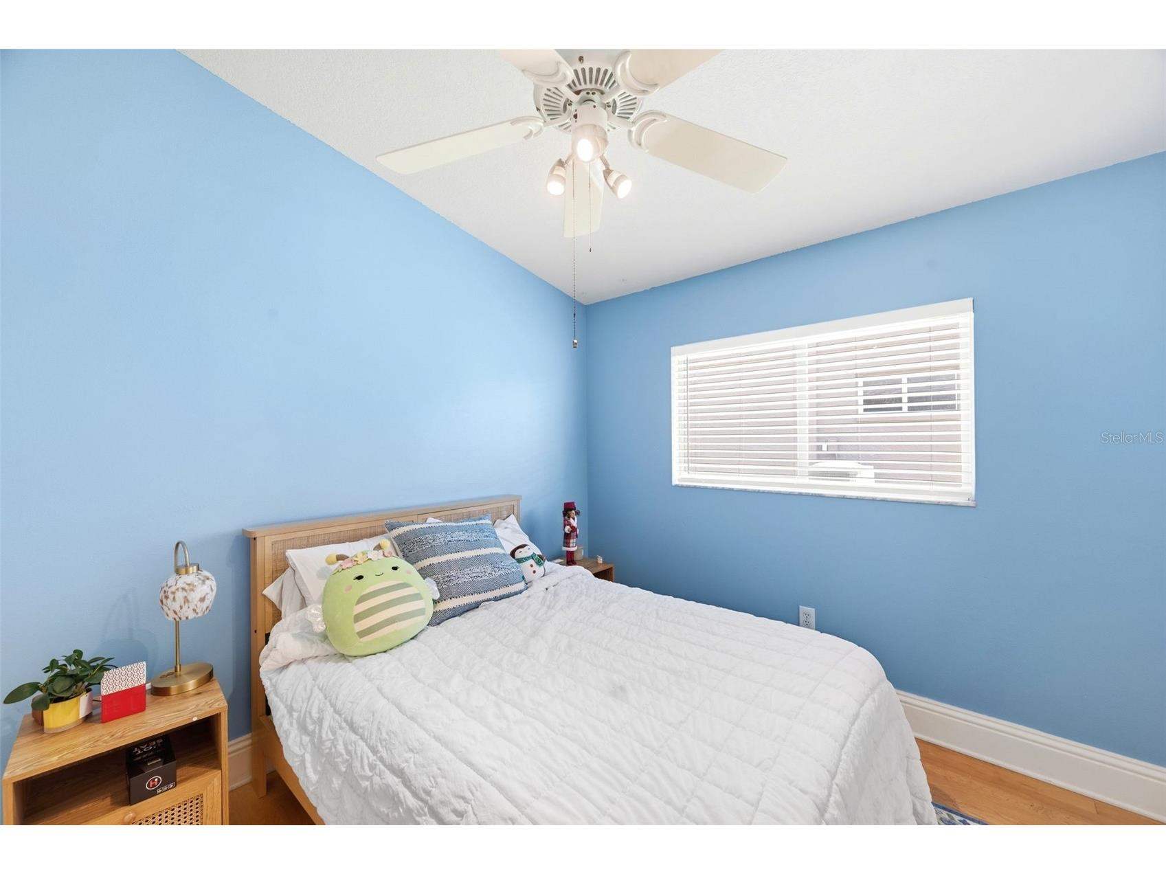 13108 Royal George Ave Odessa FL 33556 TB8526014 image37