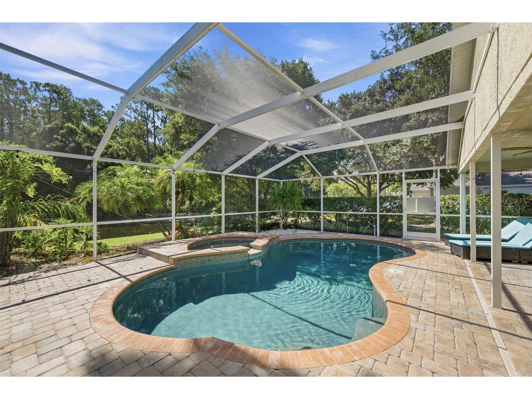 13108 Royal George Ave Odessa FL 33556 TB8526014 image4