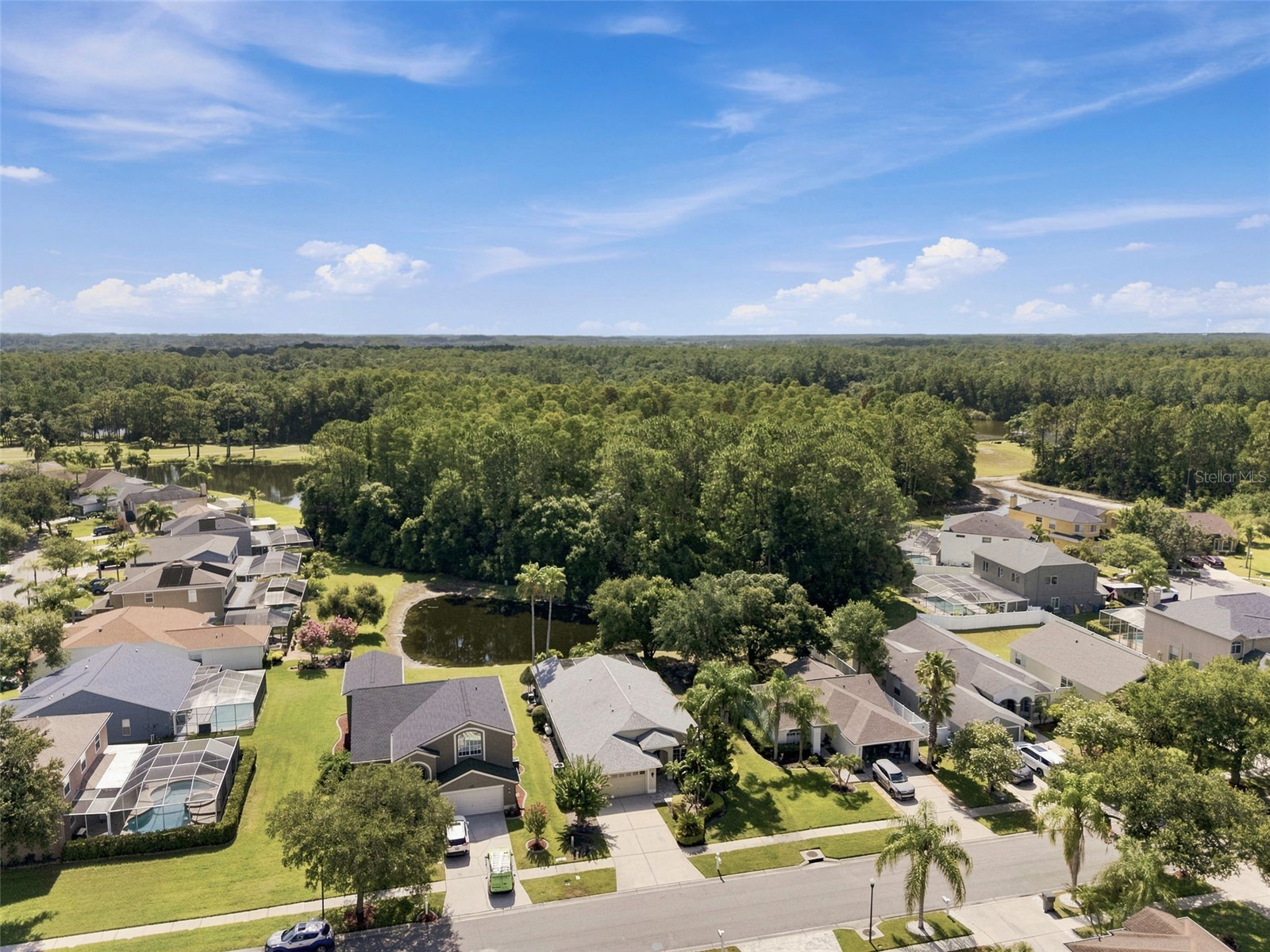 13108 Royal George Ave Odessa FL 33556 TB8526014 image5