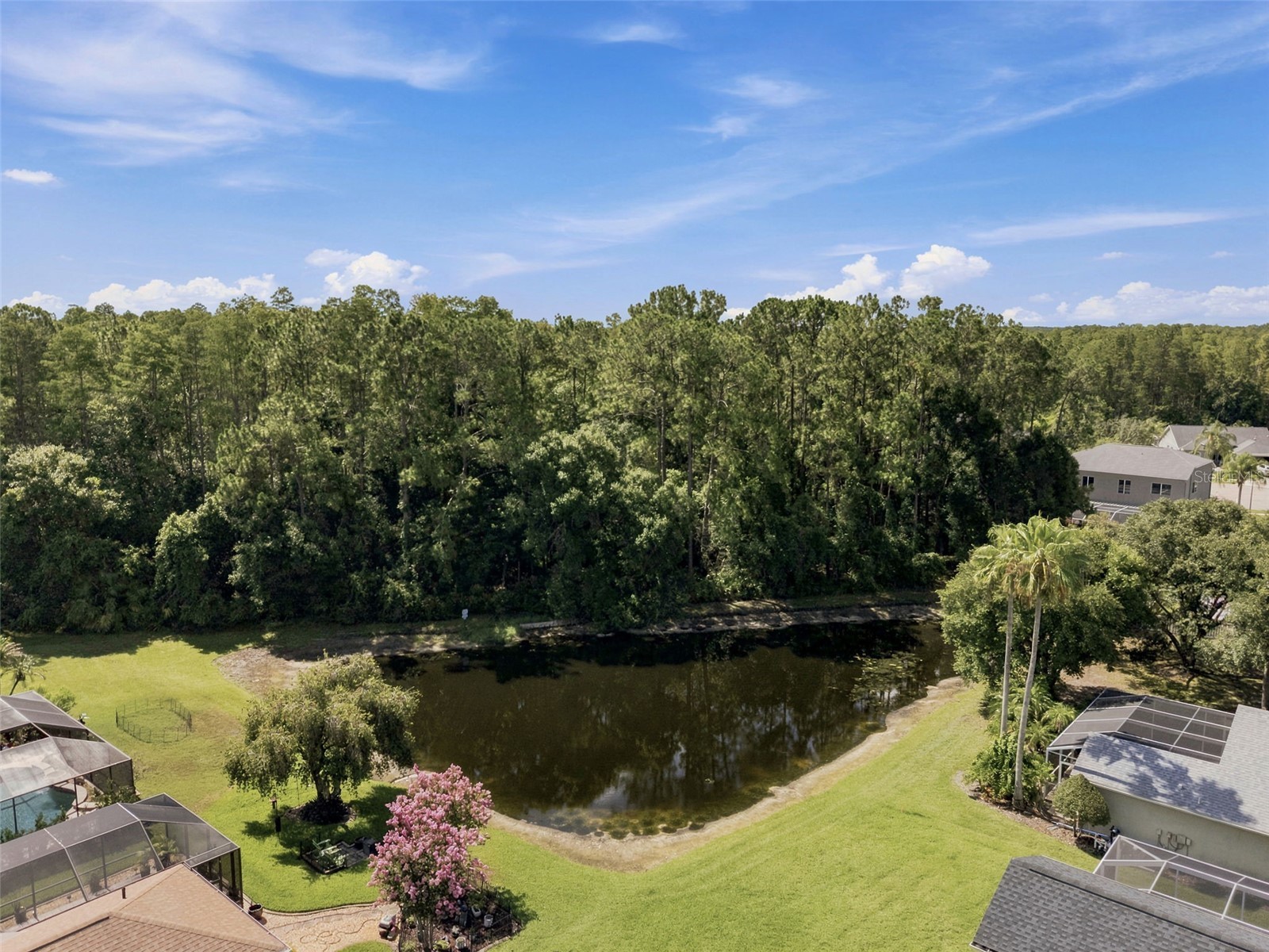 13108 Royal George Ave Odessa FL 33556 TB8526014 image51