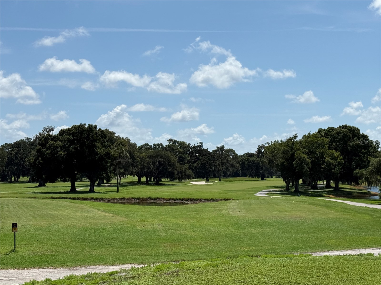 13108 Royal George Ave Odessa FL 33556 TB8526014 image59