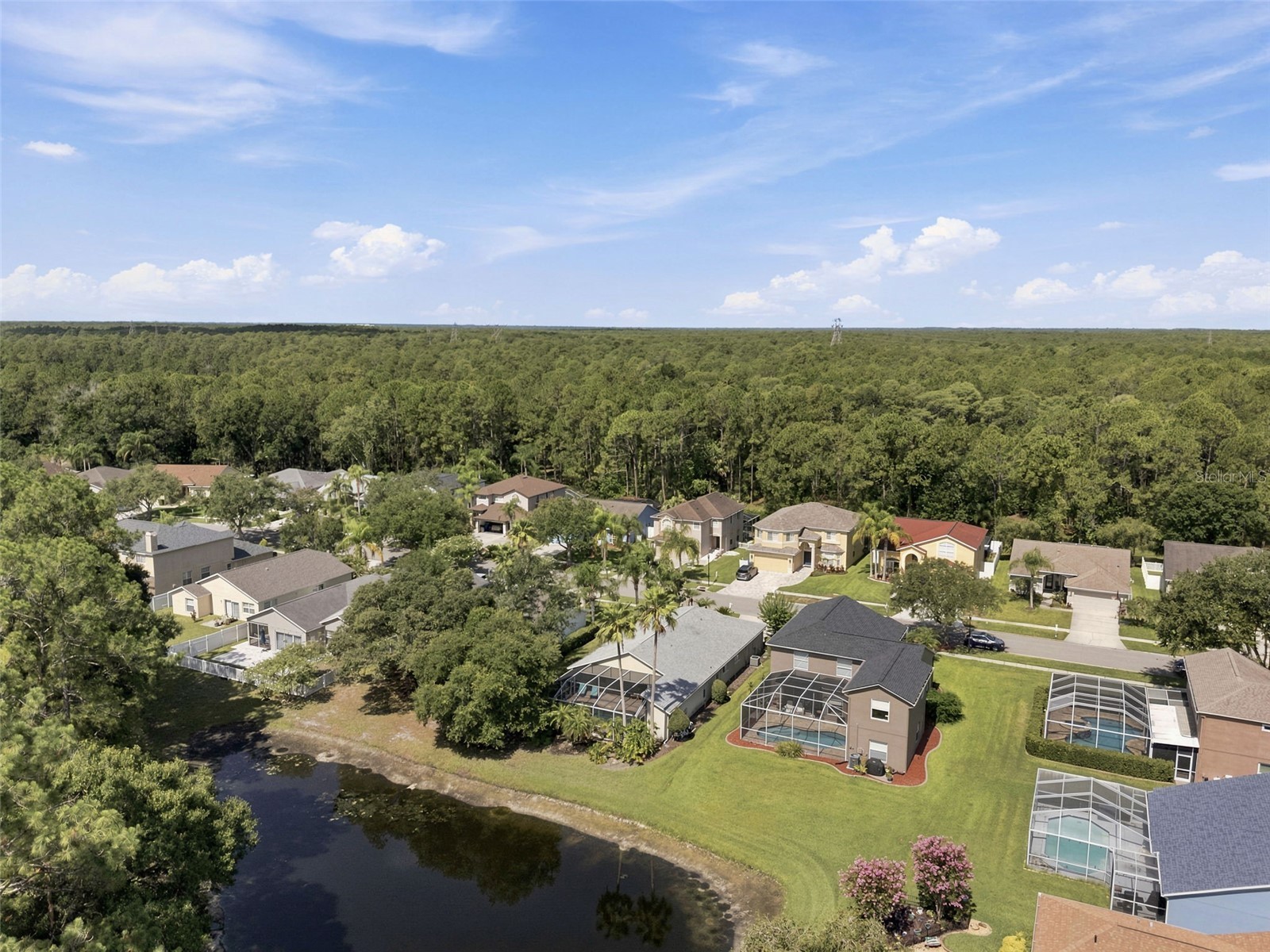 13108 Royal George Ave Odessa FL 33556 TB8526014 image6