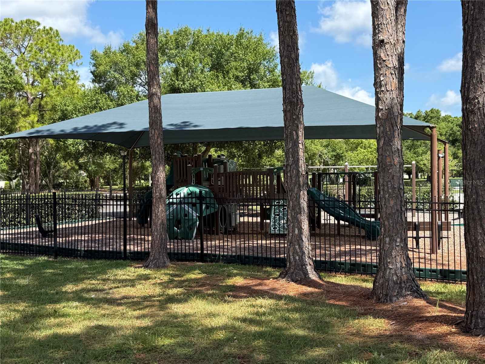 13108 Royal George Ave Odessa FL 33556 TB8526014 image60