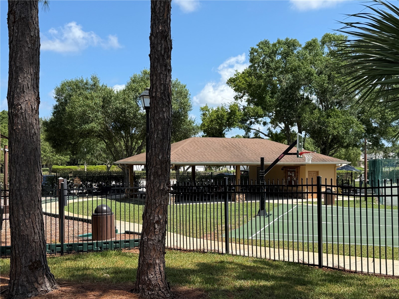 13108 Royal George Ave Odessa FL 33556 TB8526014 image61