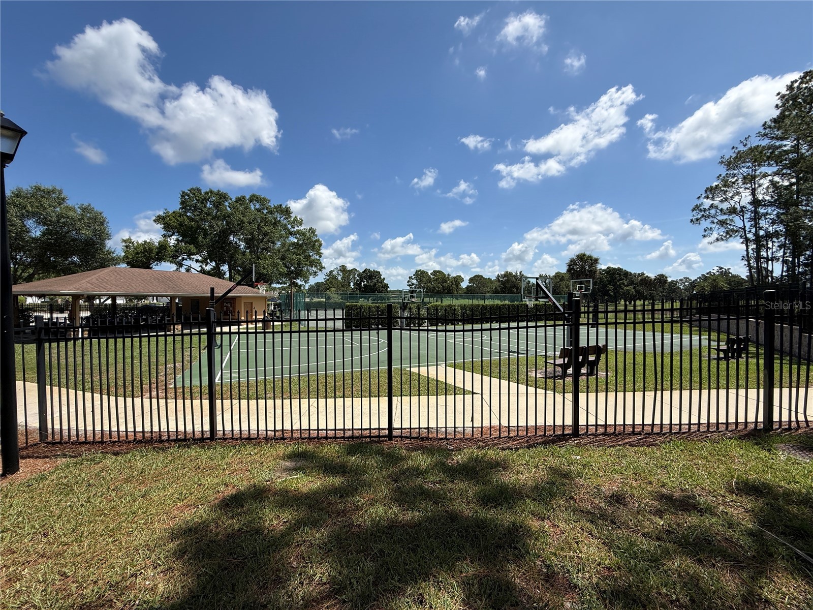 13108 Royal George Ave Odessa FL 33556 TB8526014 image62