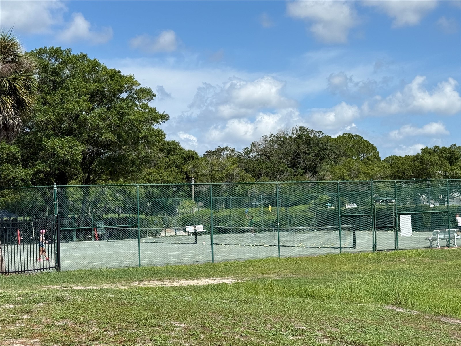 13108 Royal George Ave Odessa FL 33556 TB8526014 image63