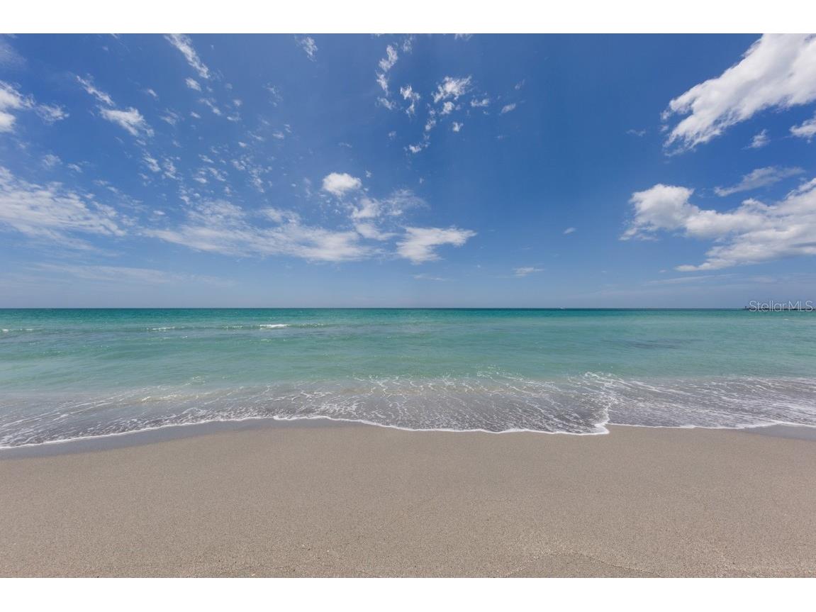 1311 Berkshire Court Venice FL 34292 N6141943 image42