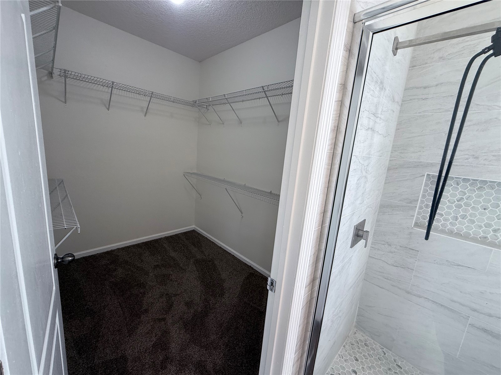 1311 Brandon Drive Orange Park FL 32065 S5140252 image54