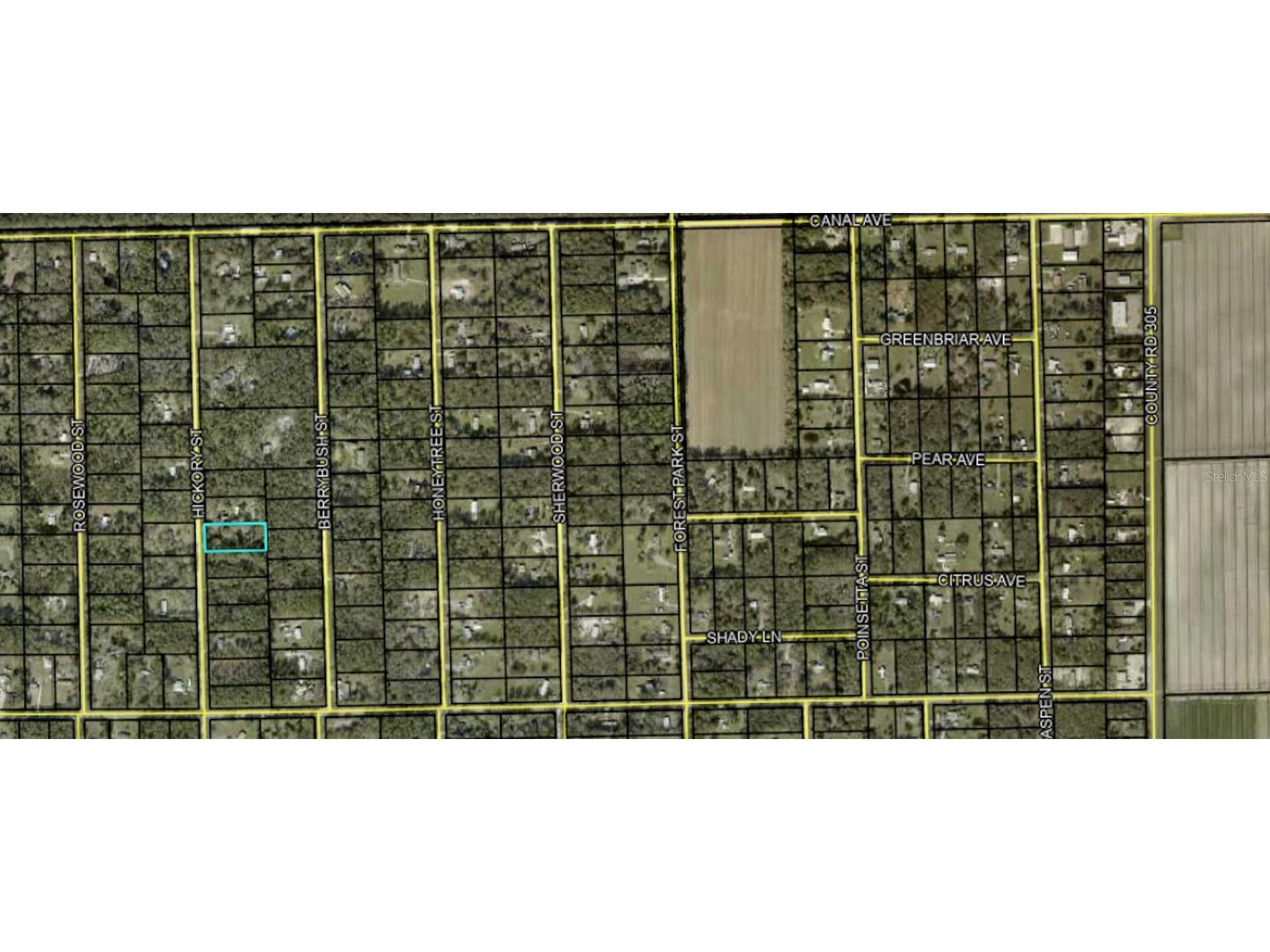 1311 Hickory Street Bunnell FL 32110 FC296651 image1