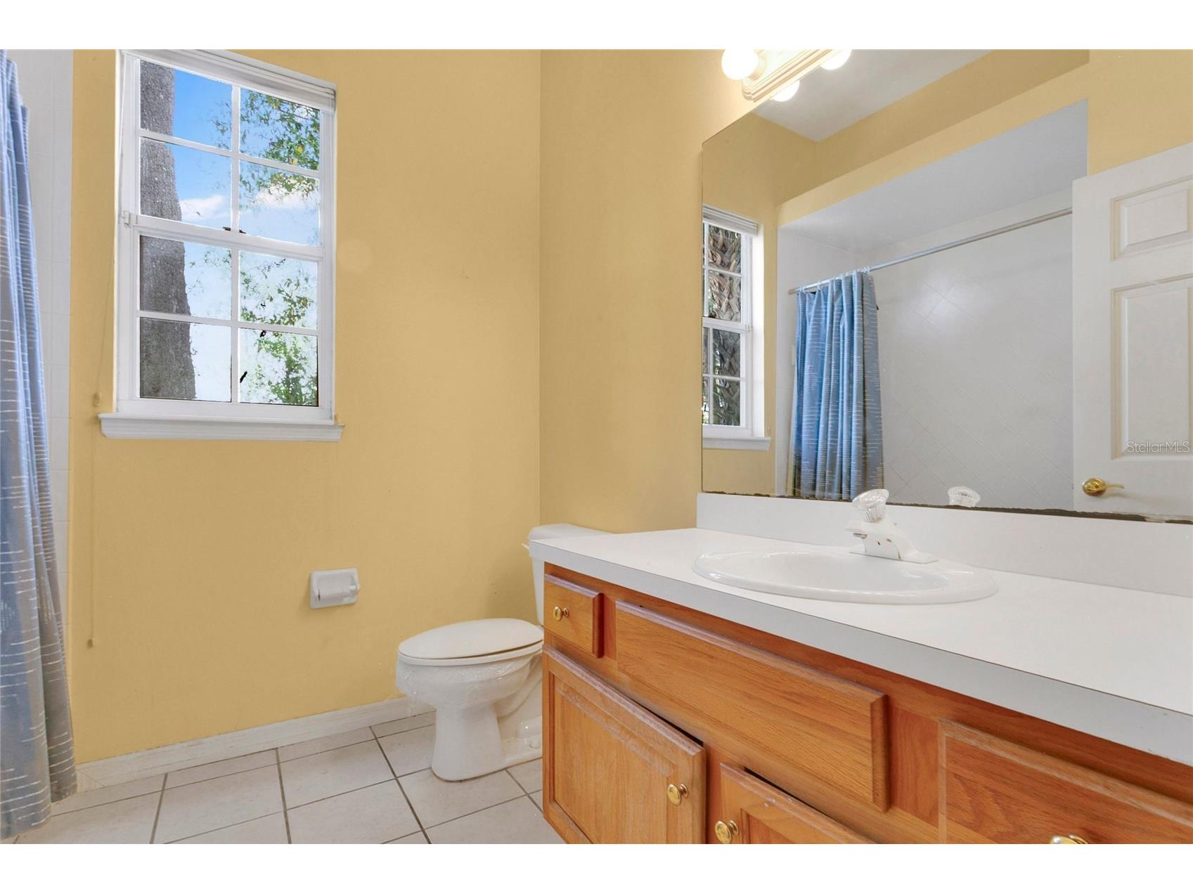 1311 Hilltop Drive Mount Dora FL 32757 O6402730 image17