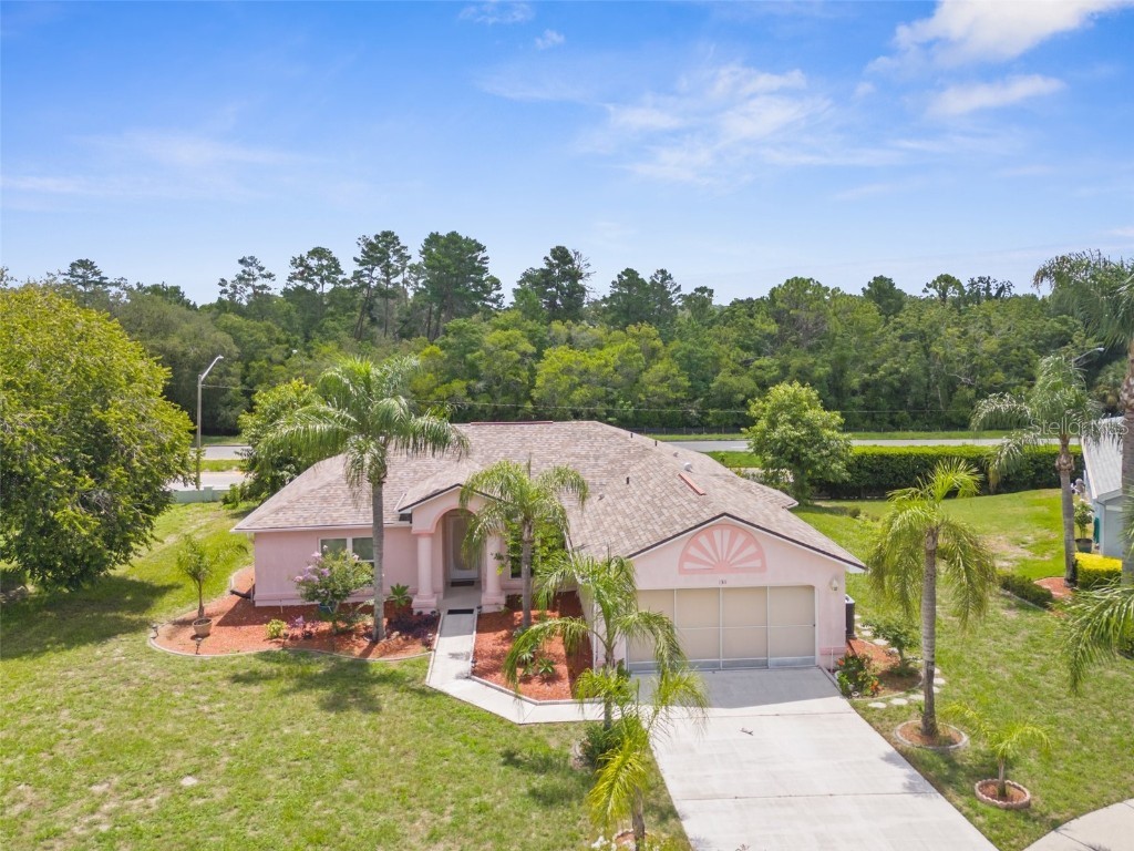 1311 Masada Lane Spring Hill FL 34608 T3539621 image1