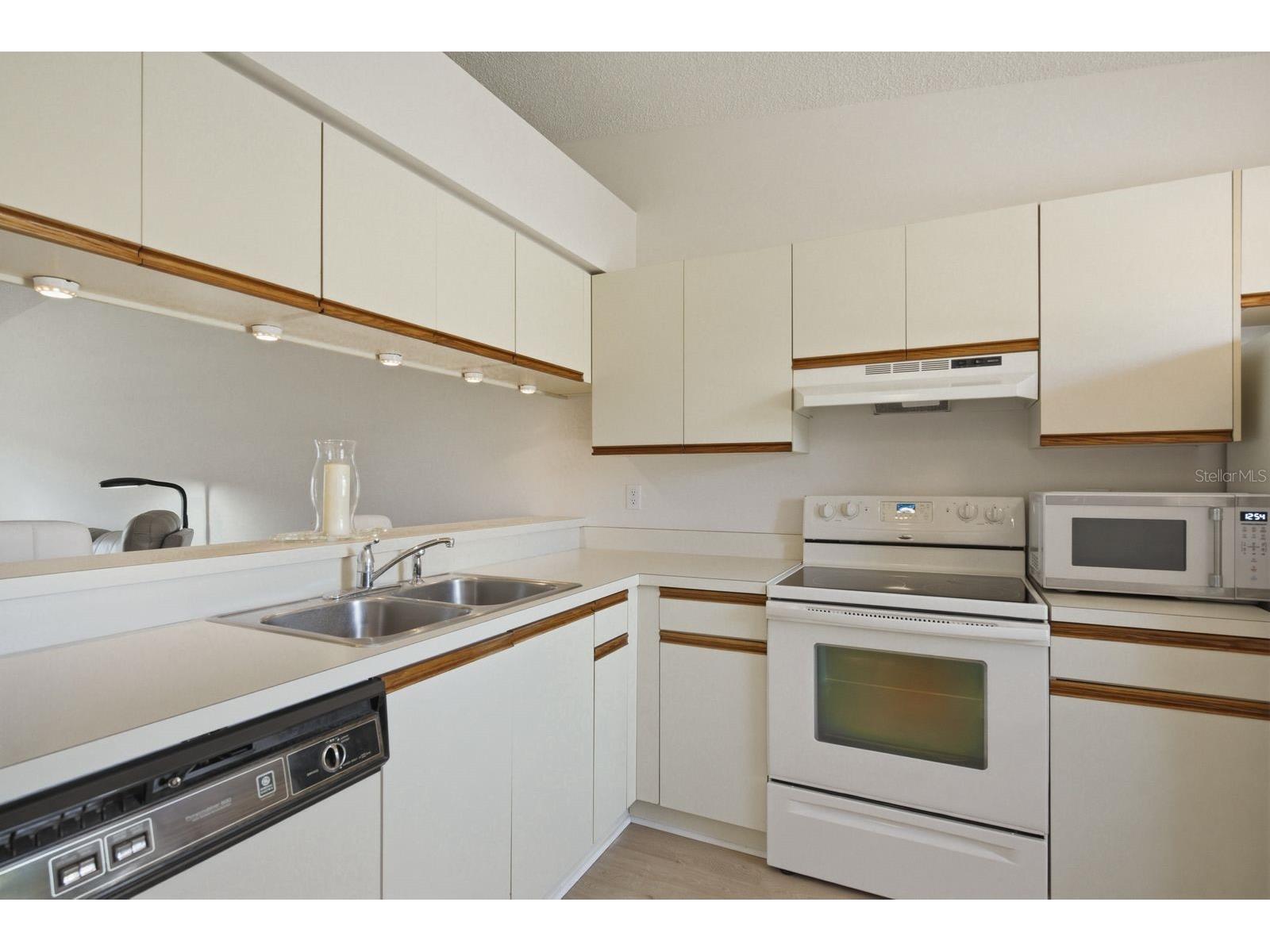 1311 Powderpuff Drive #1004 Dunedin FL 34698 TB8494617 image10