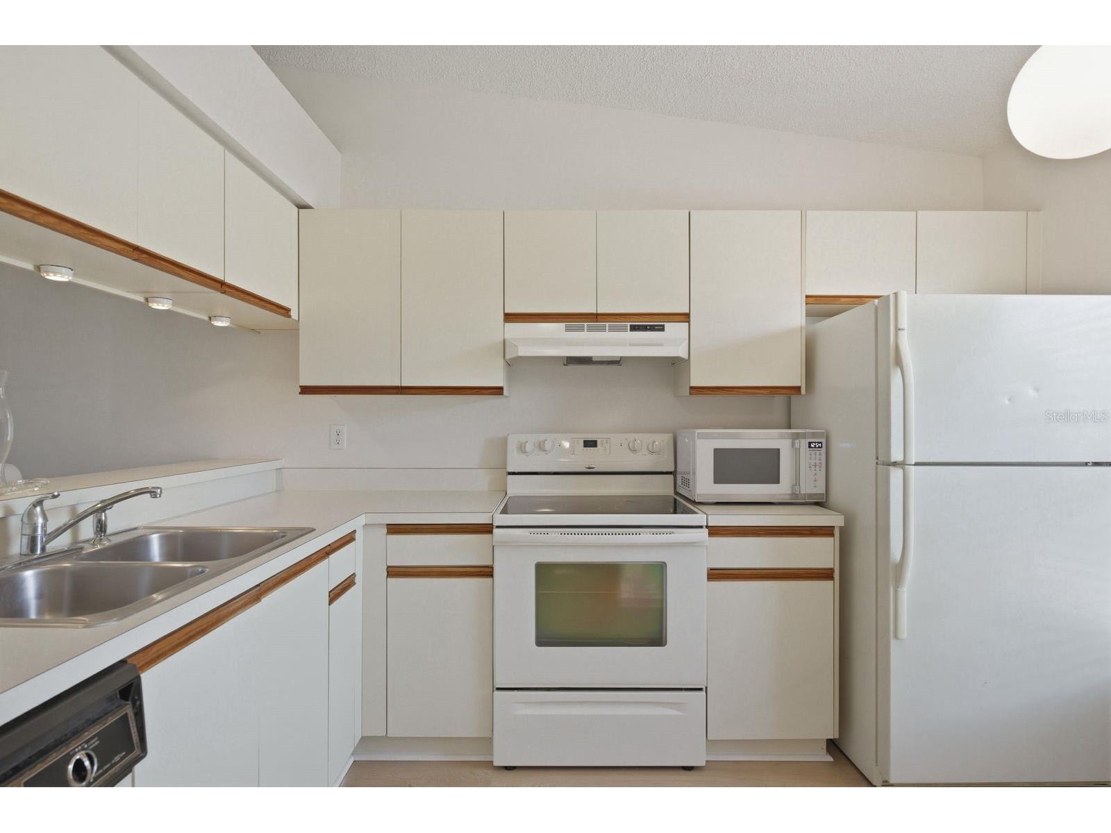 1311 Powderpuff Drive #1004 Dunedin FL 34698 TB8494617 image11