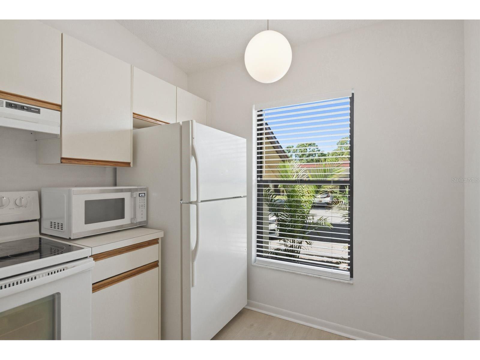 1311 Powderpuff Drive #1004 Dunedin FL 34698 TB8494617 image12