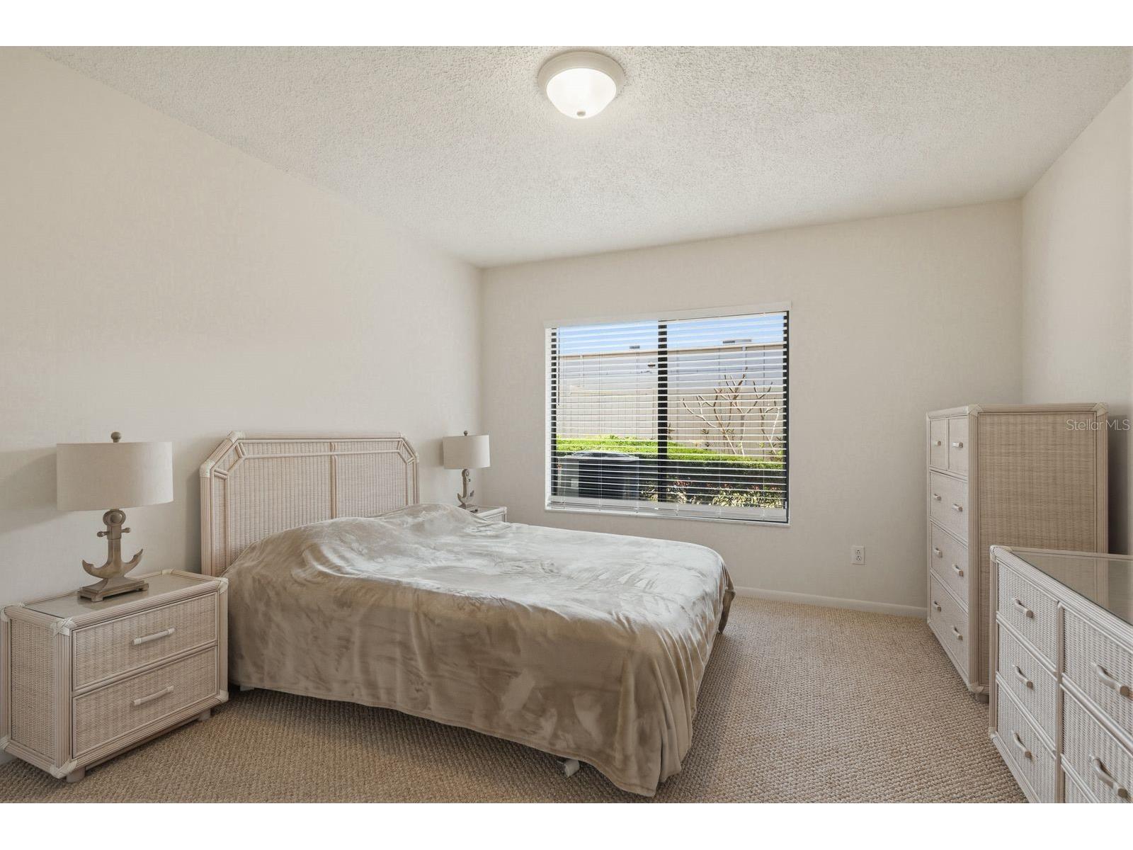 1311 Powderpuff Drive #1004 Dunedin FL 34698 TB8494617 image14