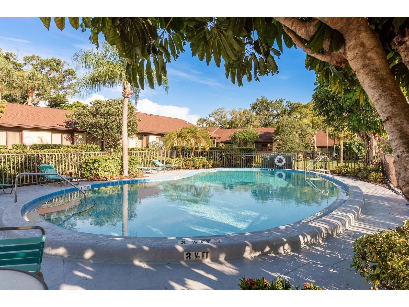 1311 Powderpuff Drive #1004 Dunedin FL 34698 TB8494617 image24