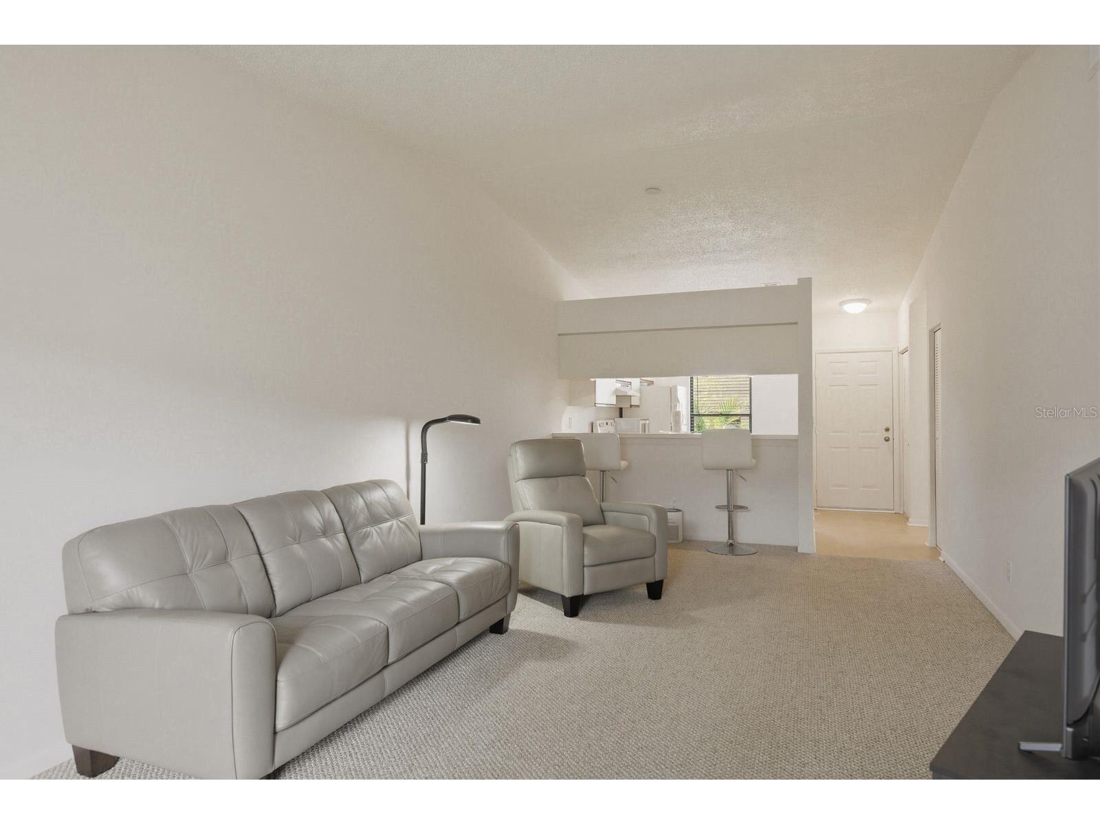 1311 Powderpuff Drive #1004 Dunedin FL 34698 TB8494617 image7