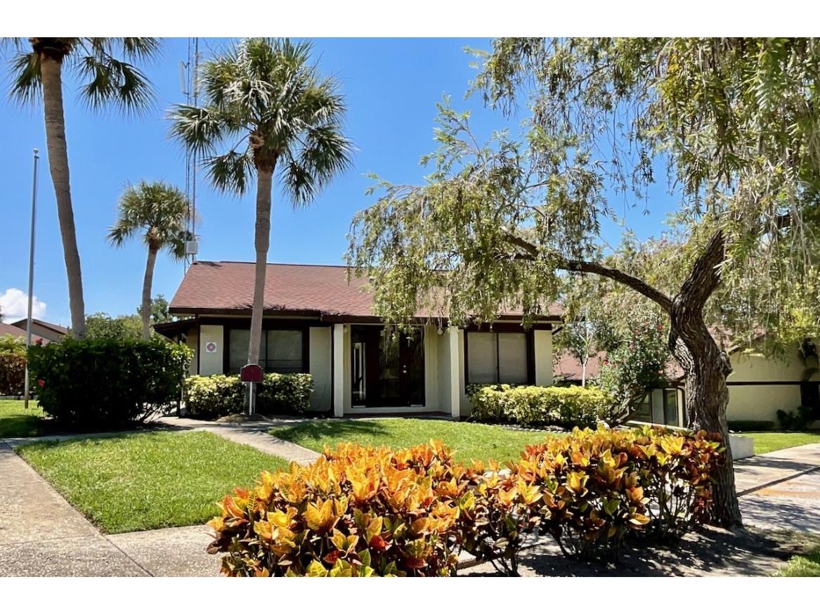 1311 Powderpuff Drive #1009 Dunedin FL 34698 TB8418729 image26