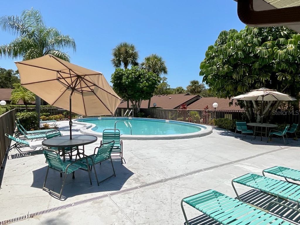 1311 Powderpuff Drive #1009 Dunedin FL 34698 TB8418729 image27