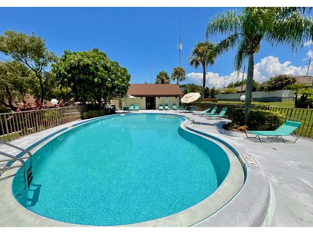 1311 Powderpuff Drive #1009 Dunedin FL 34698 TB8418729 image28