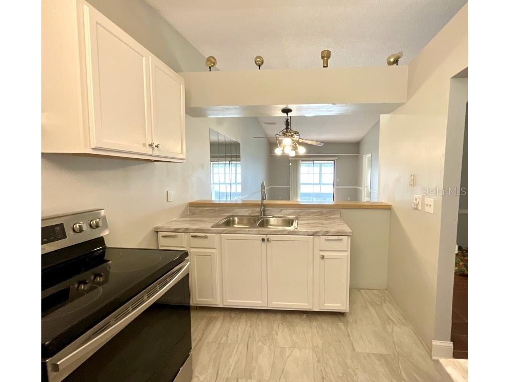 1311 Powderpuff Drive #1009 Dunedin FL 34698 TB8418729 image7