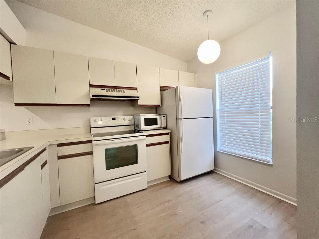 1311 Powderpuff Drive #4 Dunedin FL 34698 TB8341025 image7