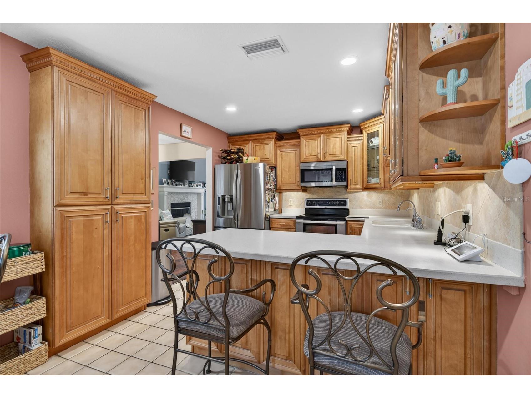 1311 W Carissa Court Tampa FL 33604 TB8511807 image20