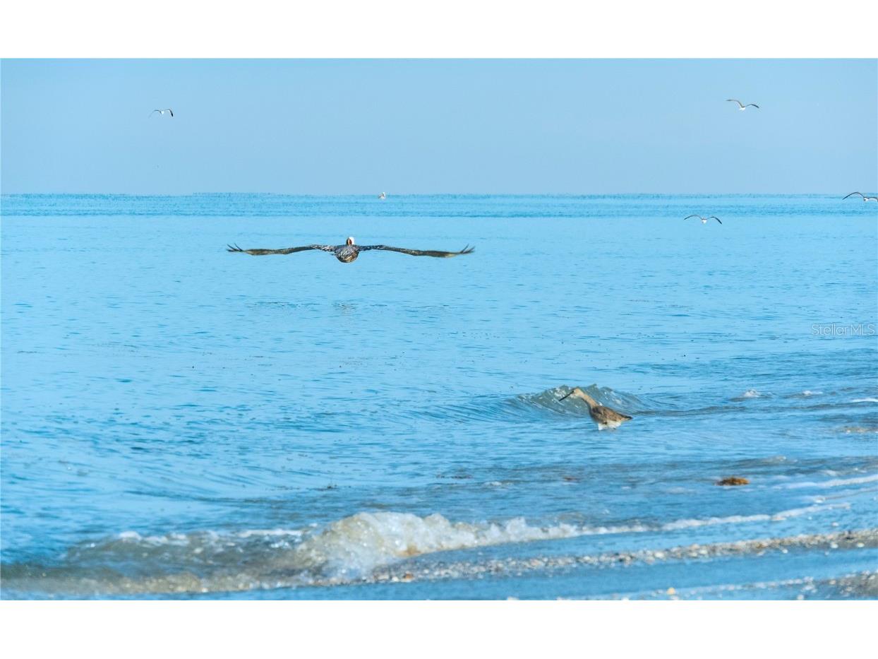 1311 Washington Drive Englewood FL 34224 D6144135 image58