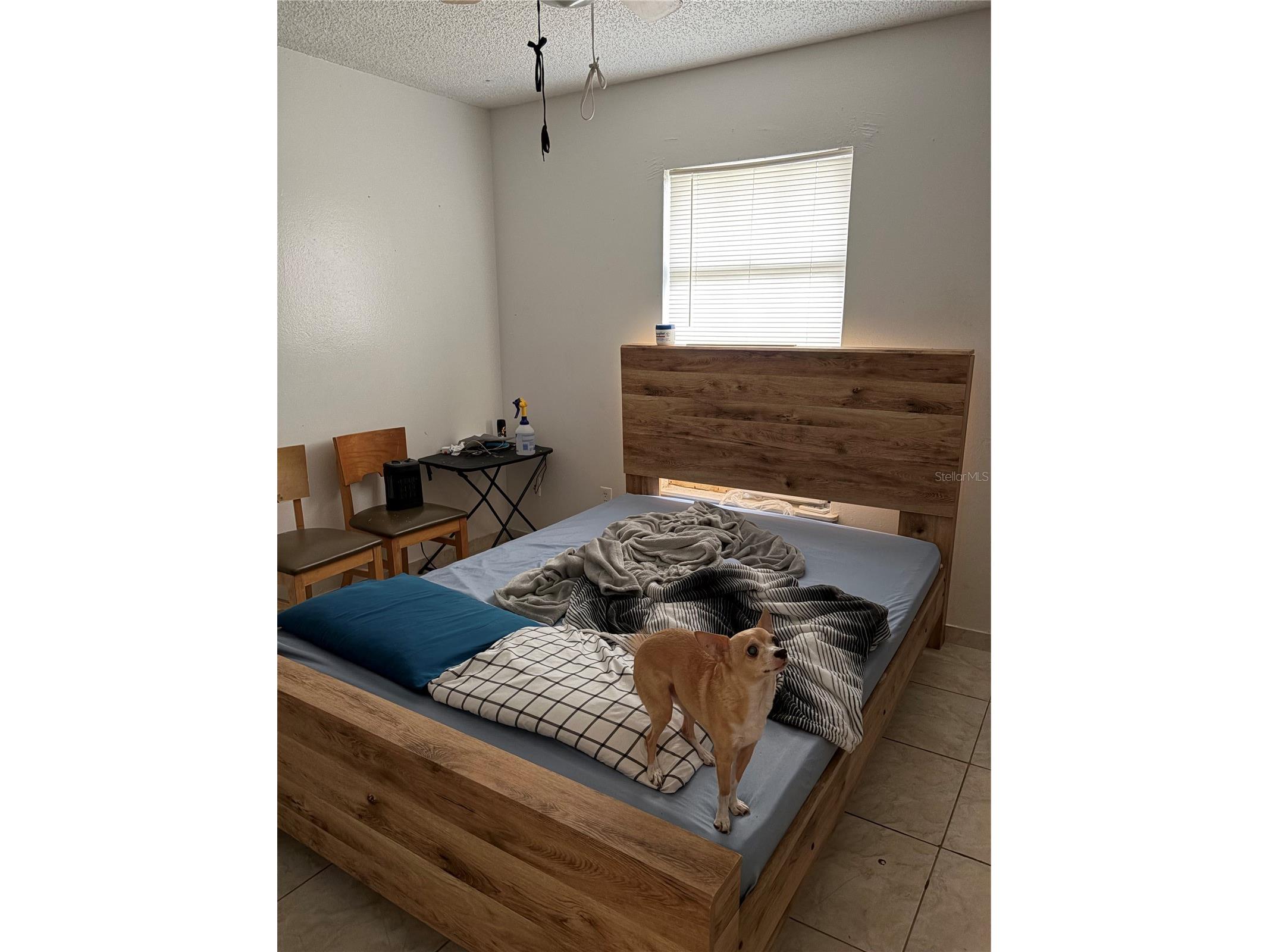 1311 Woodman Way Orlando FL 32818 S5140719 image16