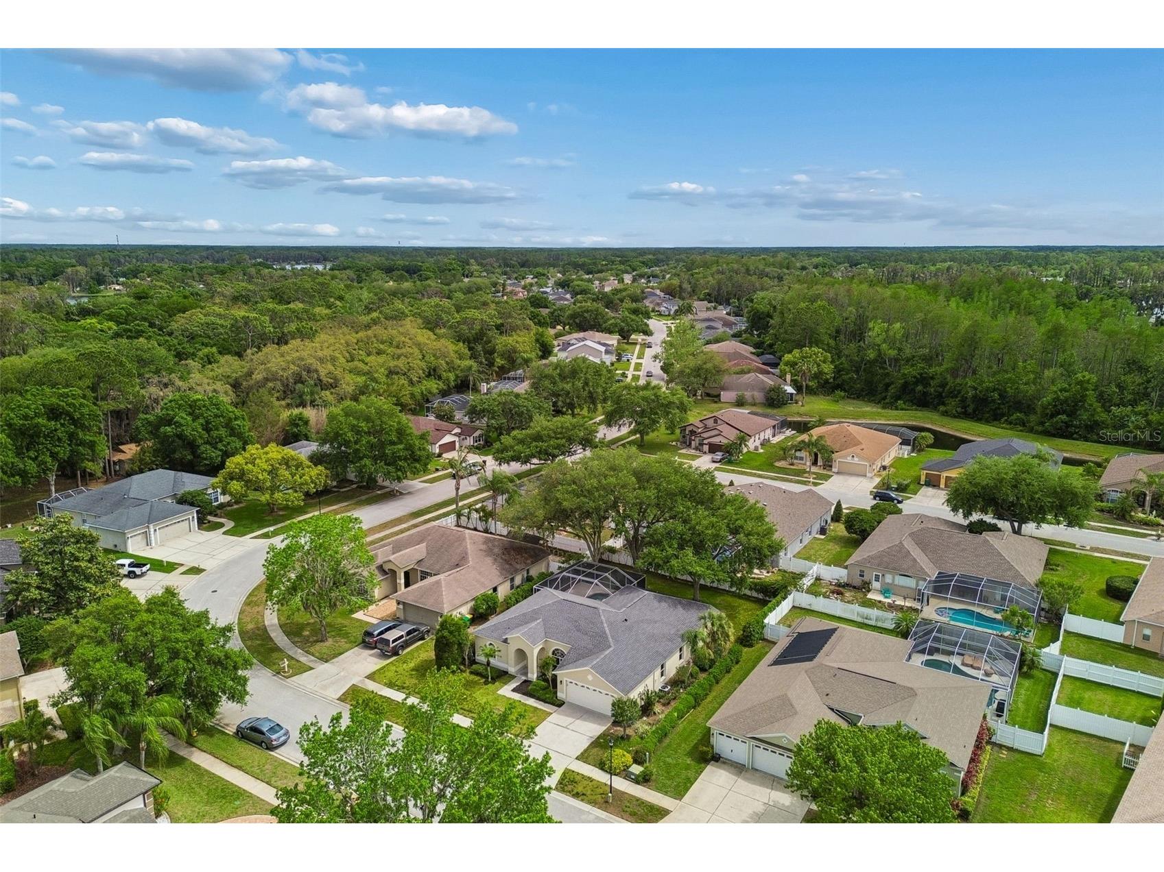 1311 Wyndham Lakes Drive Odessa FL 33556 TB8493720 image69