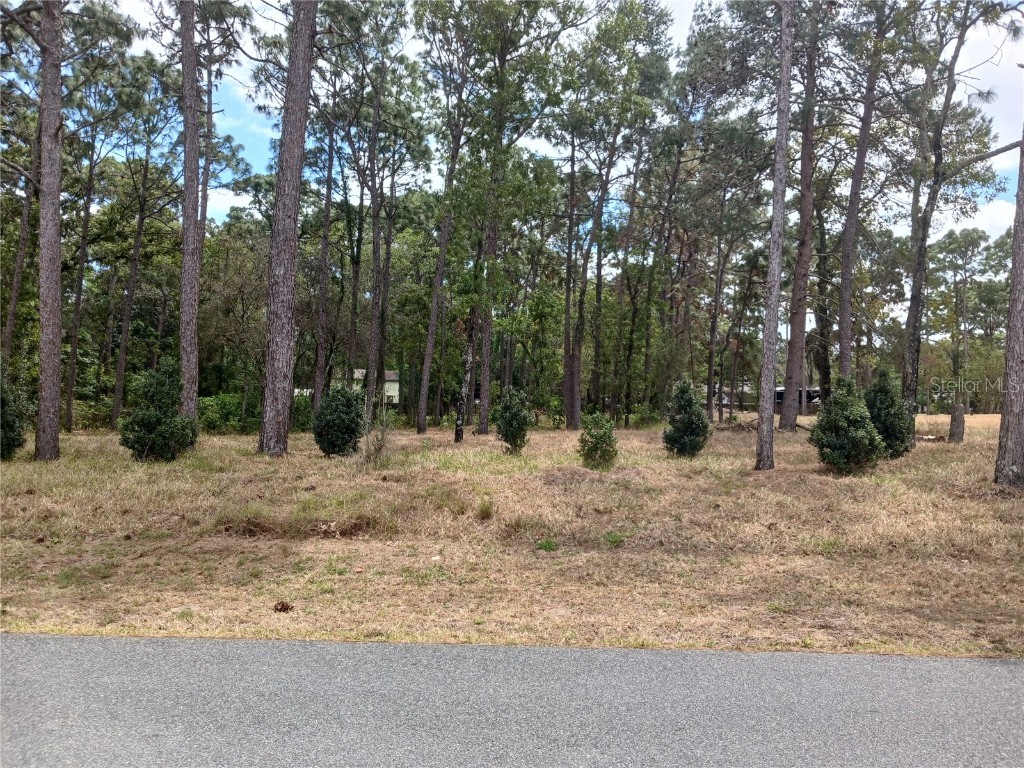 13110 Feather Street Spring Hill FL 34609 T3439195 image1