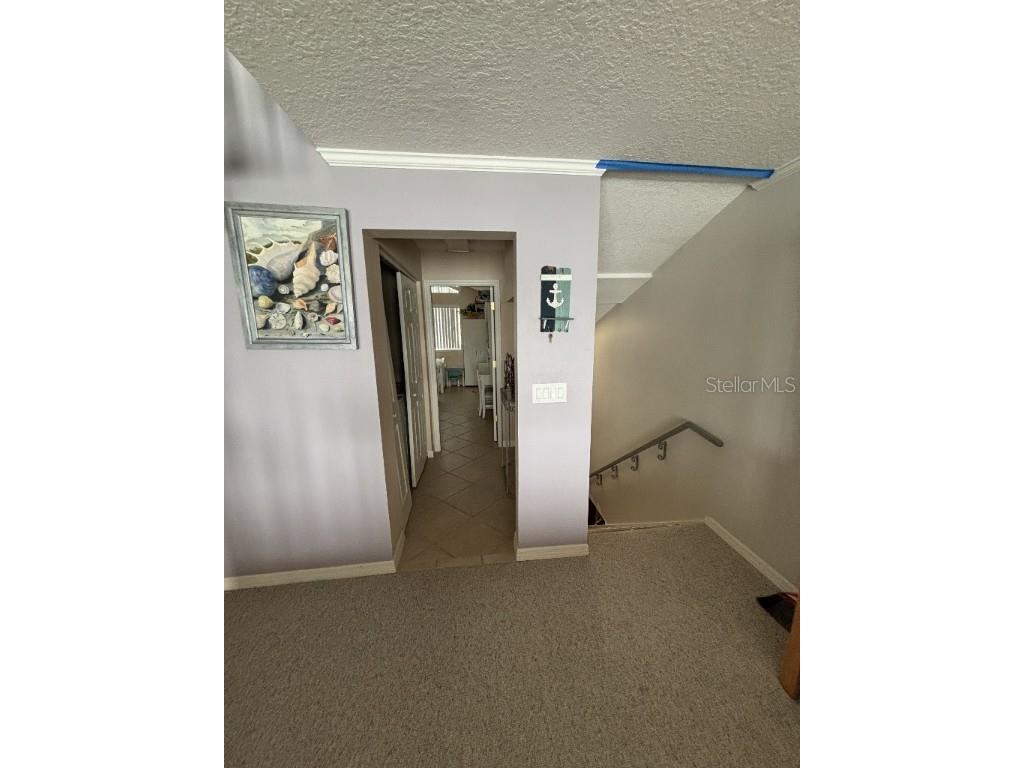 13111 Boca Ciega Avenue Madeira Beach FL 33708 TB8421315 image8